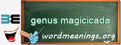 WordMeaning blackboard for genus magicicada